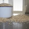 Galletas de la abuela - Imagen 2